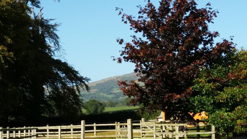 Ty Derw Country House B&B Ruthin Luaran gambar